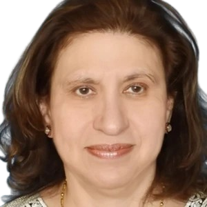Meher M. Noshirwani